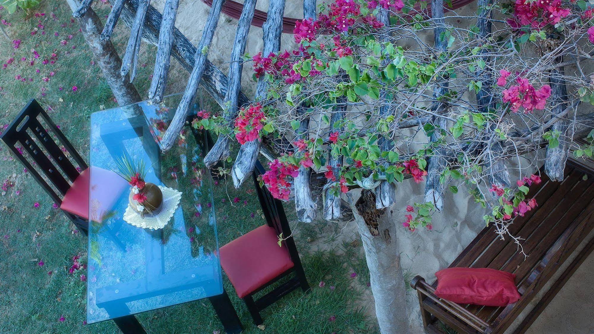 My Blue Hotel Jijoca de Jericoacoara Exterior foto