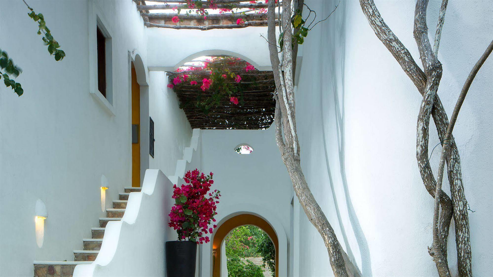 My Blue Hotel Jijoca de Jericoacoara Exterior foto
